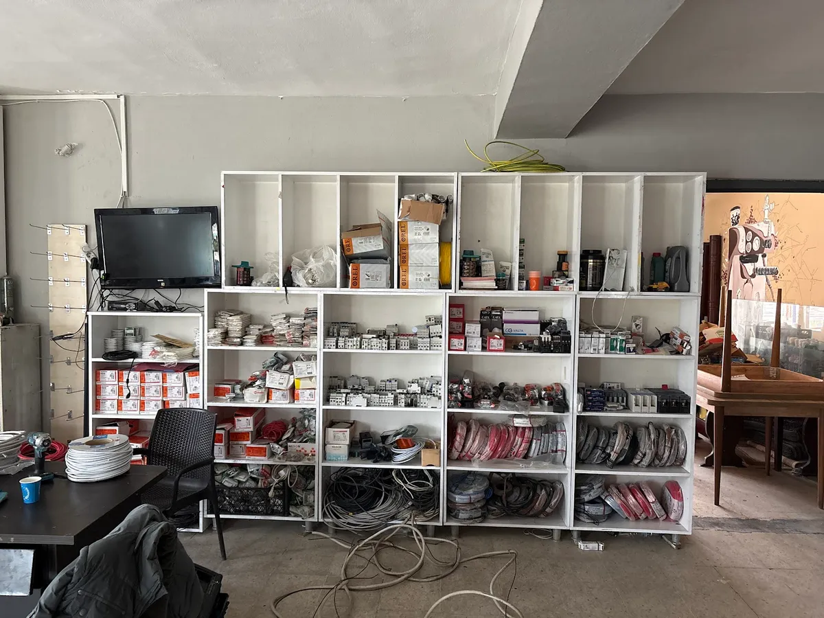 Duygu elektrik