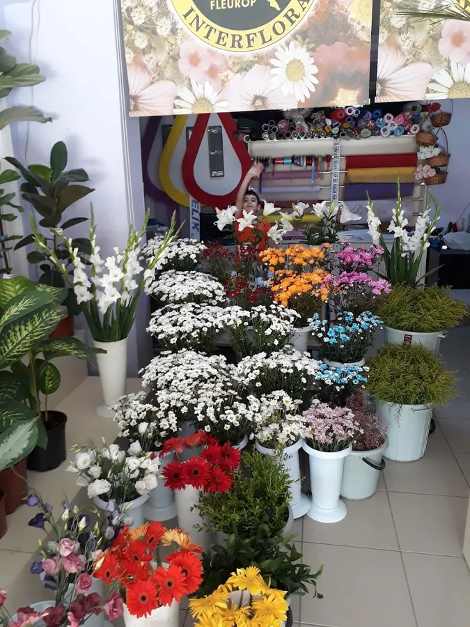 Erdem Market