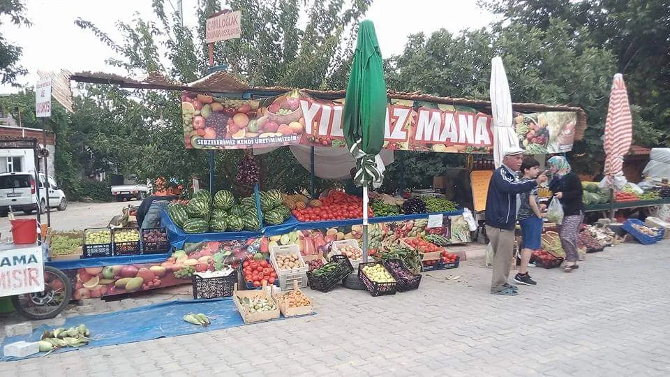 YILMAZ MANAV
