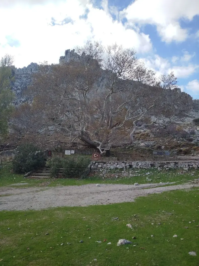 Galeri