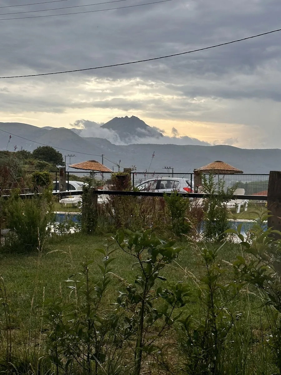 Galeri