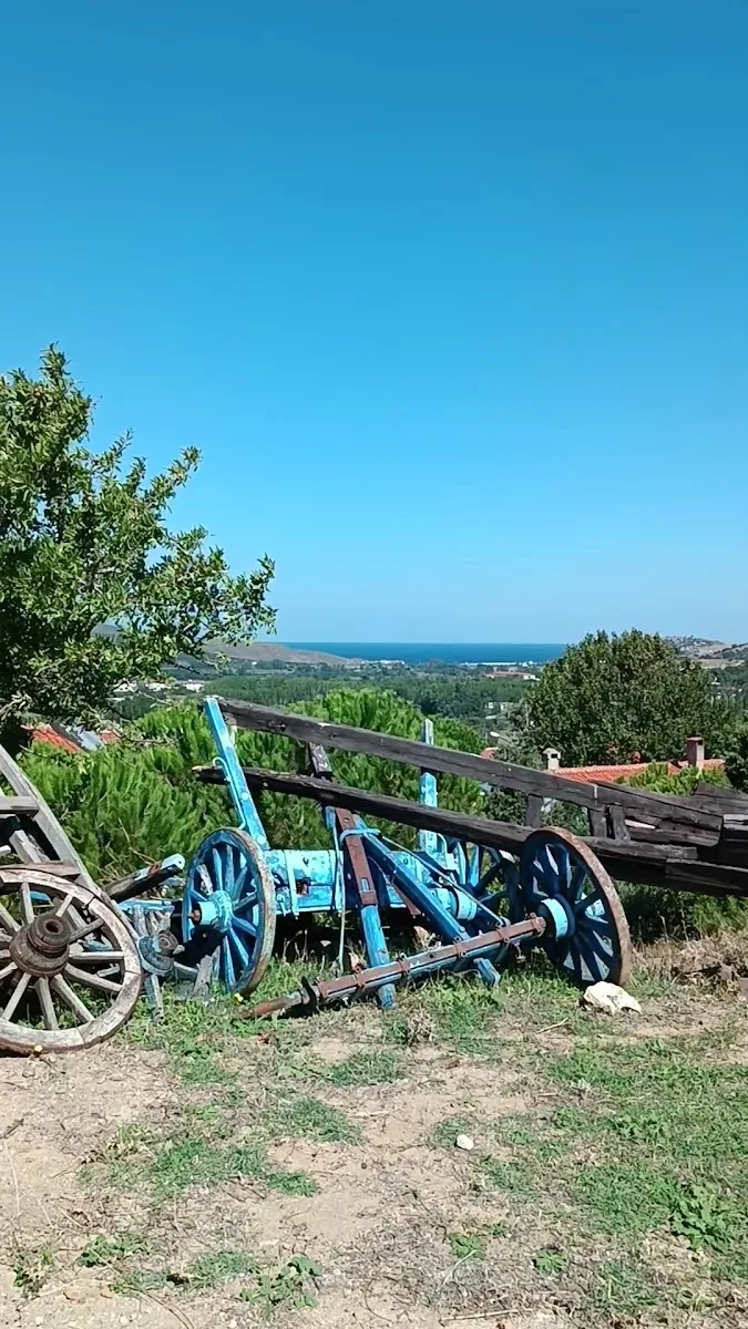 Galeri