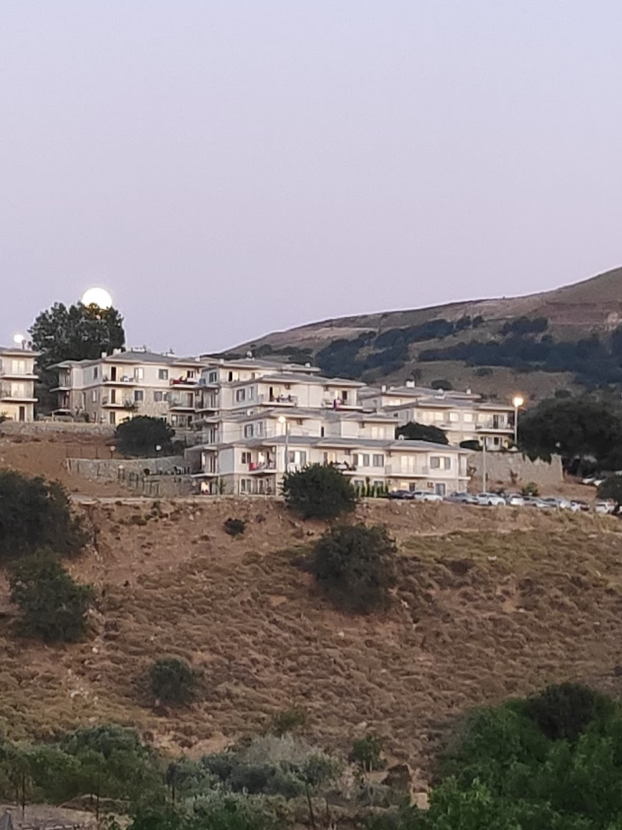 Batı Teras Evleri