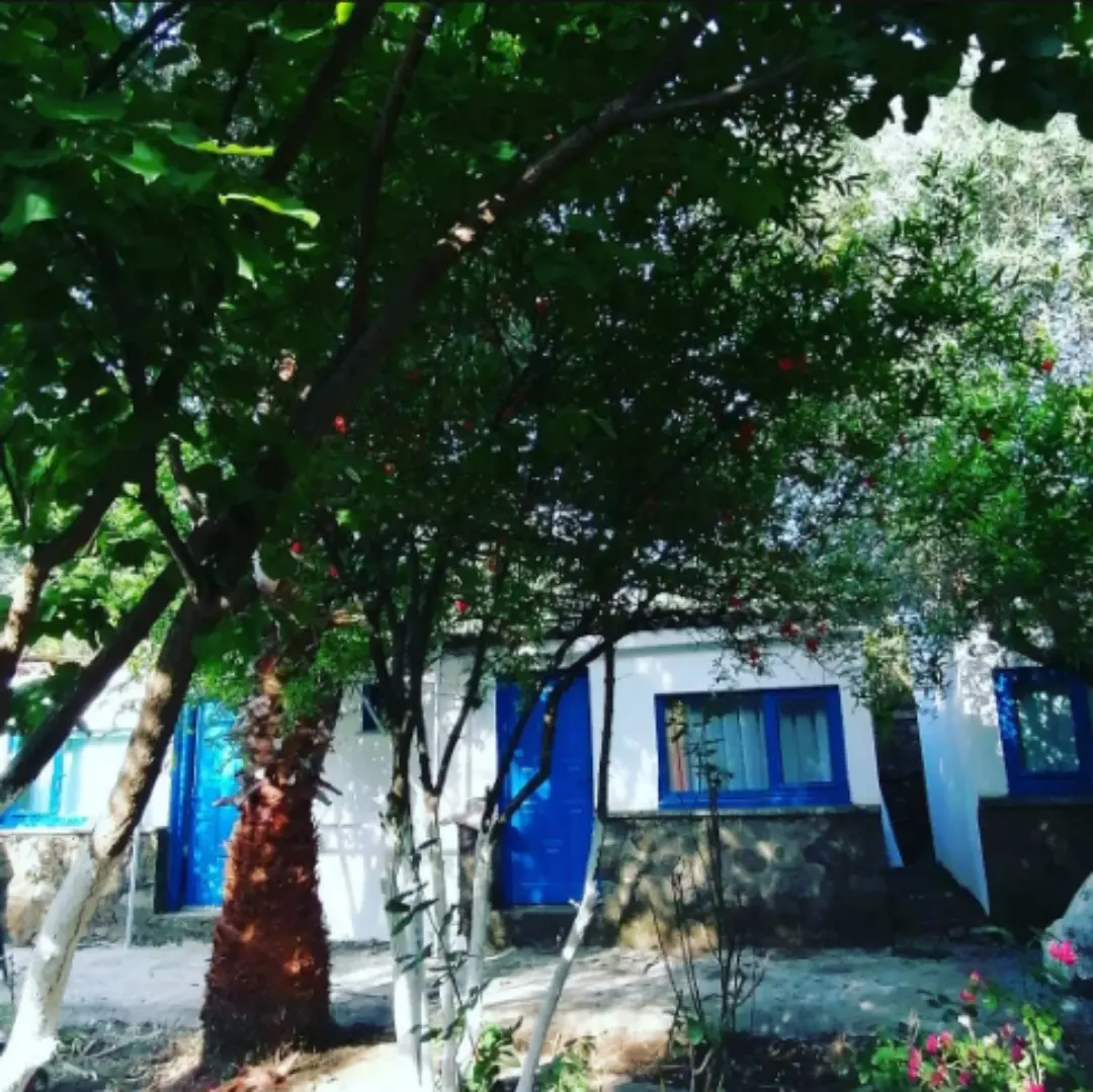 Galeri