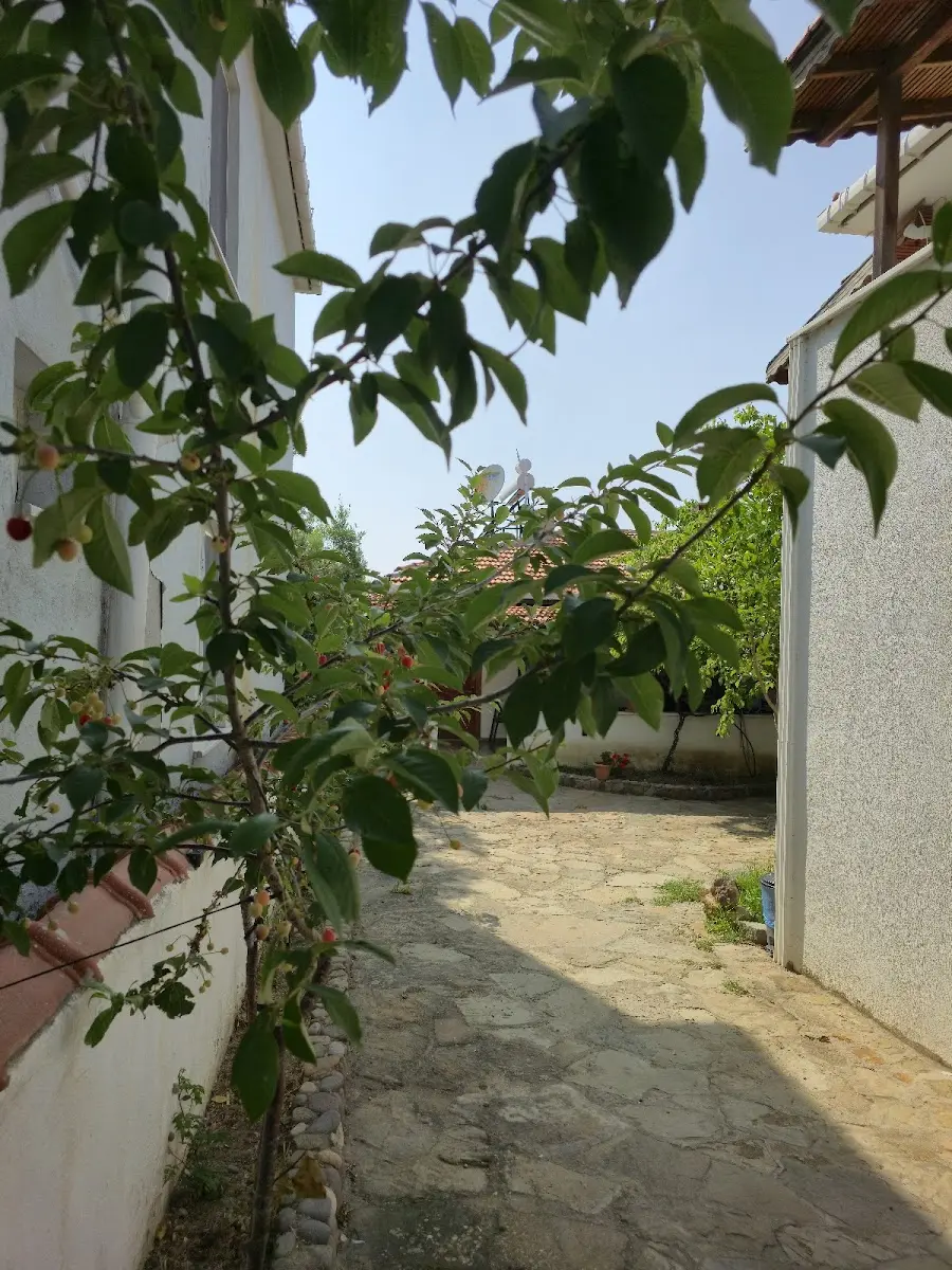 Galeri