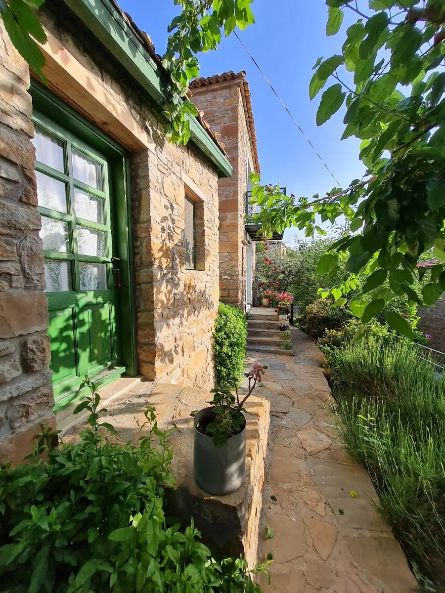 Panayota Evi