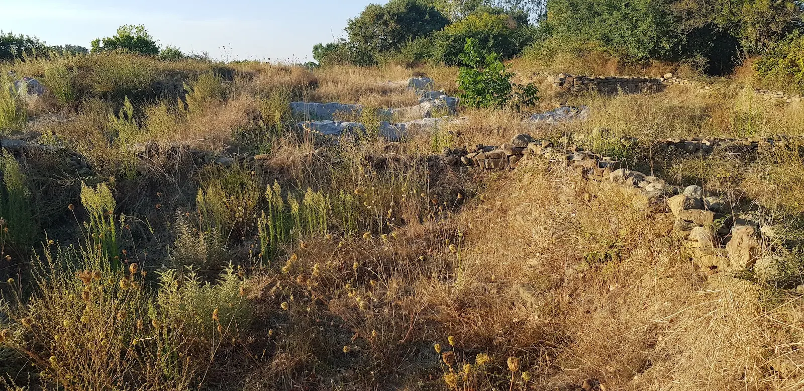 Yeni Bademli Höyük